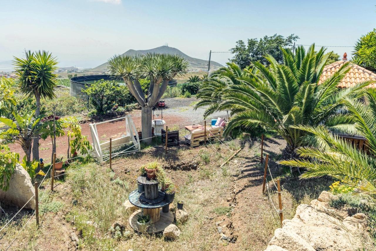 Apartamento B Armonia Rural Granadilla De Abona Buitenkant foto